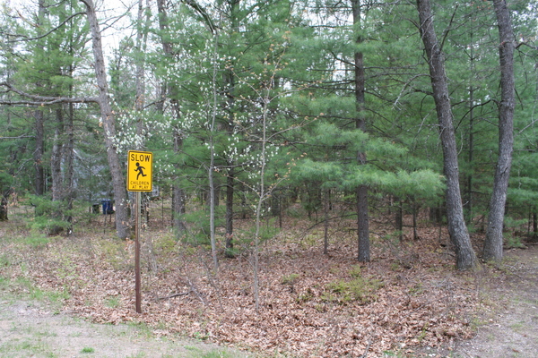 Lot 3818