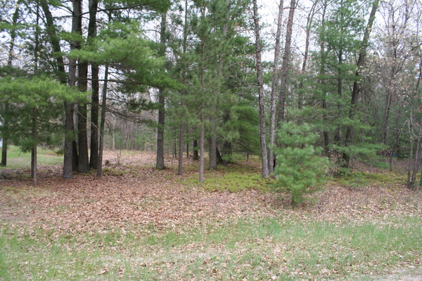 Lot 3819