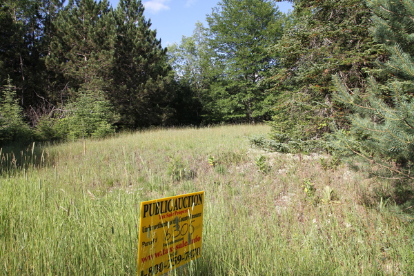 Lot 6305