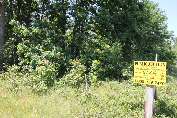 Lot 6306