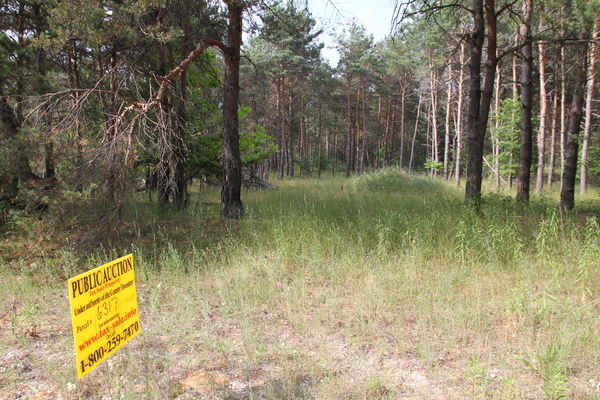 Lot 6317