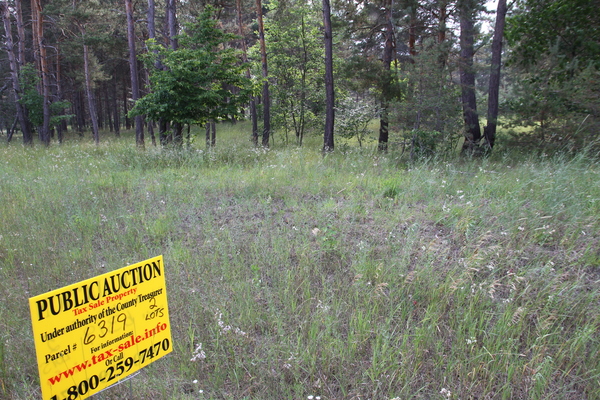 Lot 6319