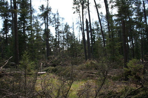 Lot 7562
