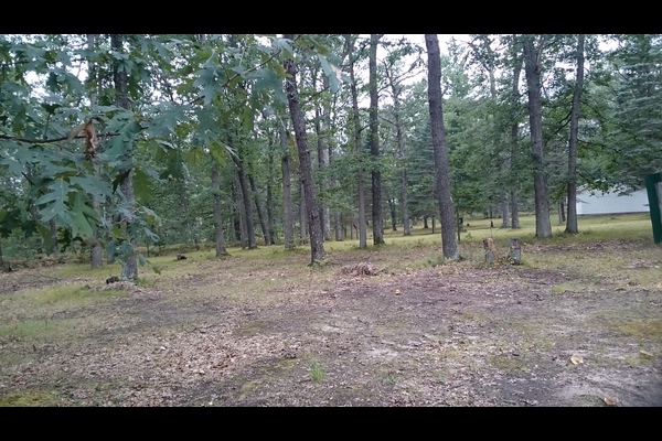 Lot 5306