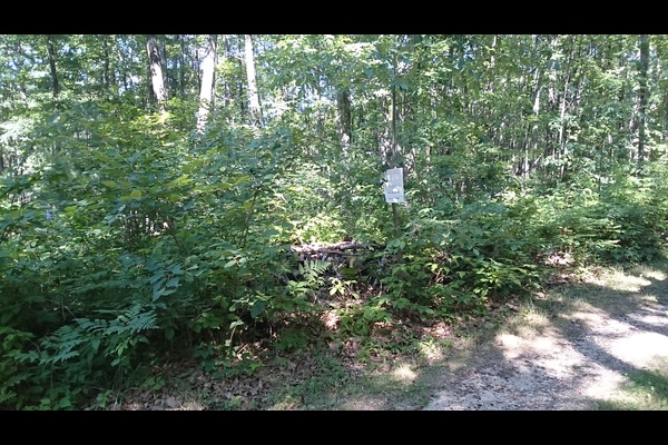 Lot 5645