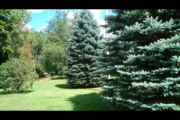 Lot 5804