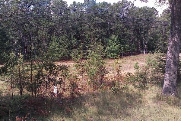 Lot 125