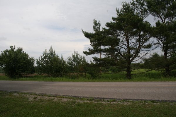 Lot 129