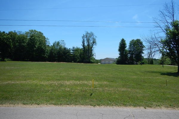 Lot 1302