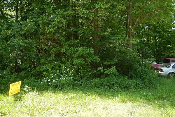 Lot 1307