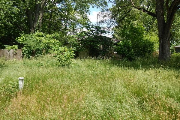 Lot 1311