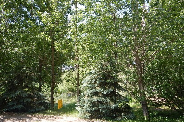 Lot 1325