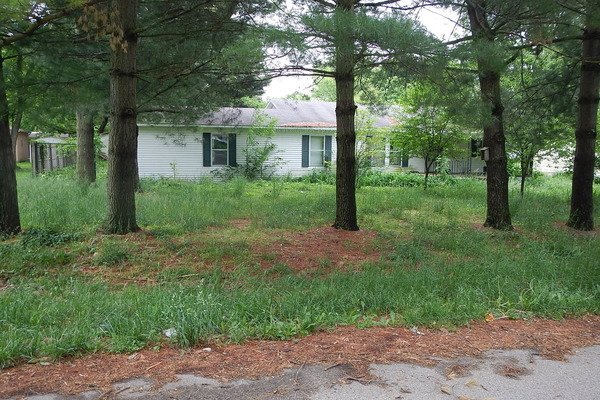 Lot 1335