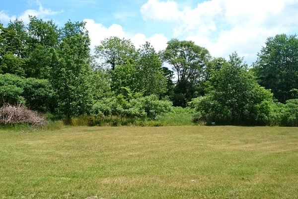 Lot 1338