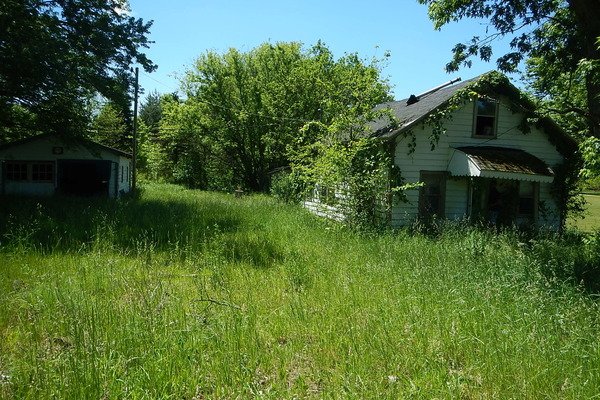 Lot 1339