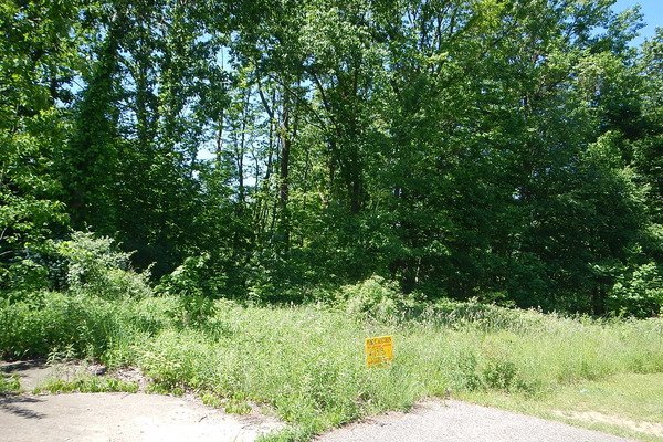 Lot 1343