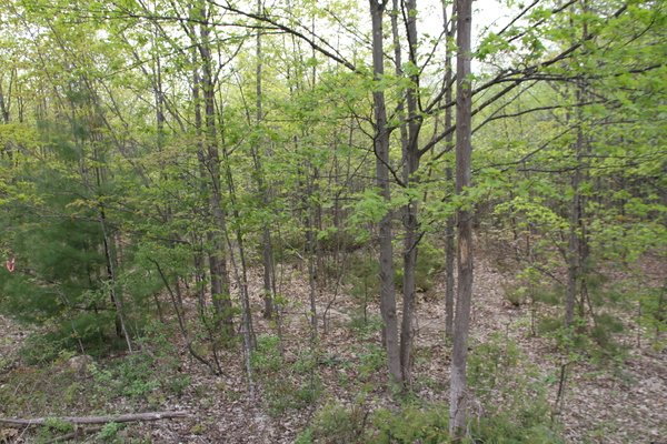 Lot 1402