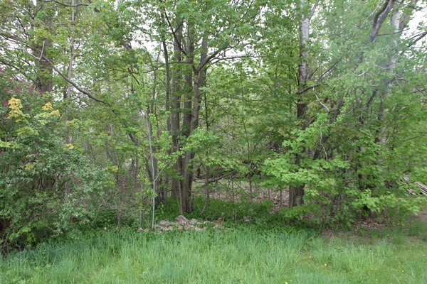 Lot 1410