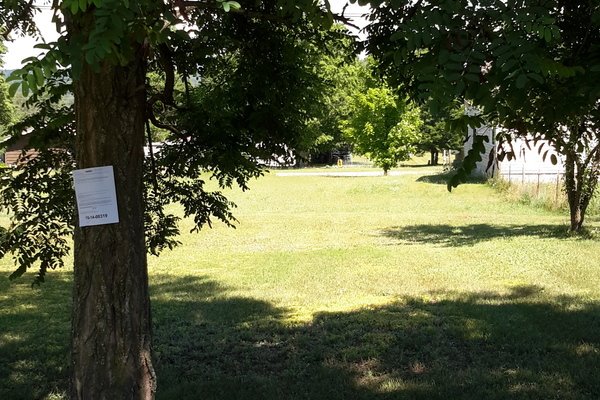 Lot 1411