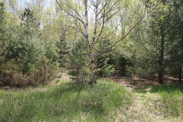 Lot 2108