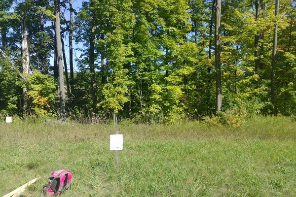 Lot 2303