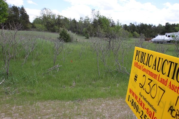 Lot 2307