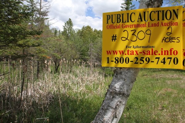 Lot 2309
