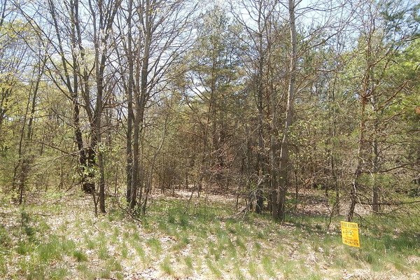 Lot 6450