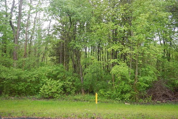Lot 6468