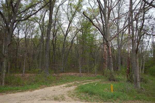 Lot 6485