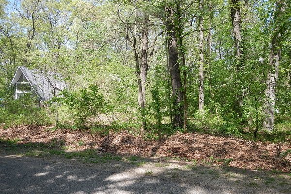 Lot 6515