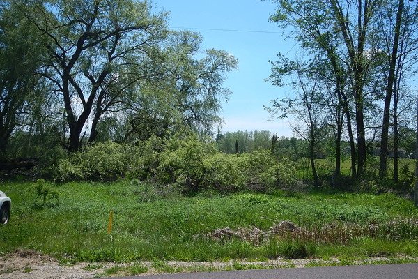 Lot 6516