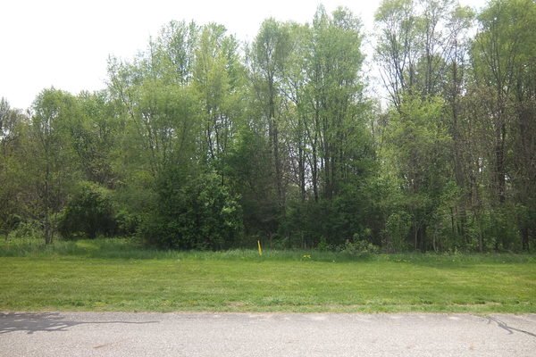 Lot 3002