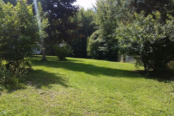 Lot 3144