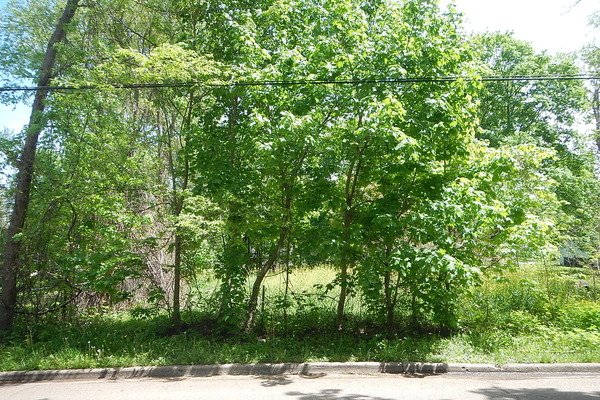 Lot 3024