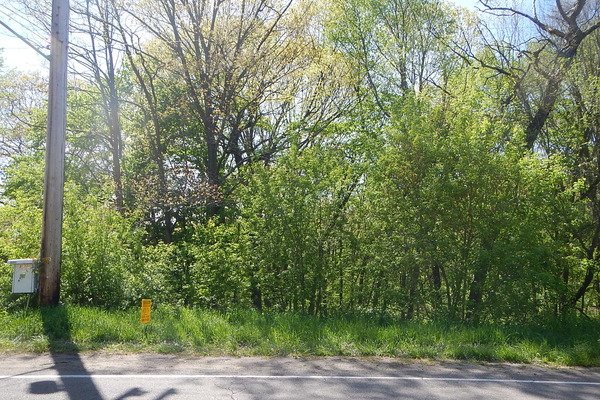 Lot 3038