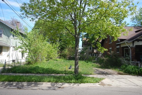 Lot 3074