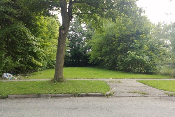 Lot 3146