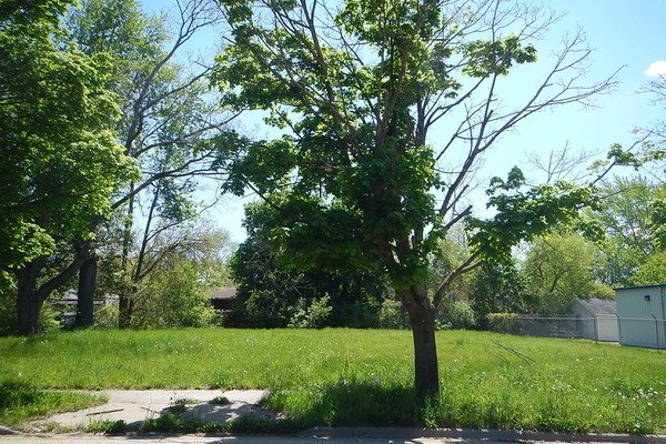 Lot 3097