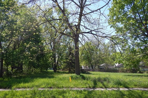 Lot 3099