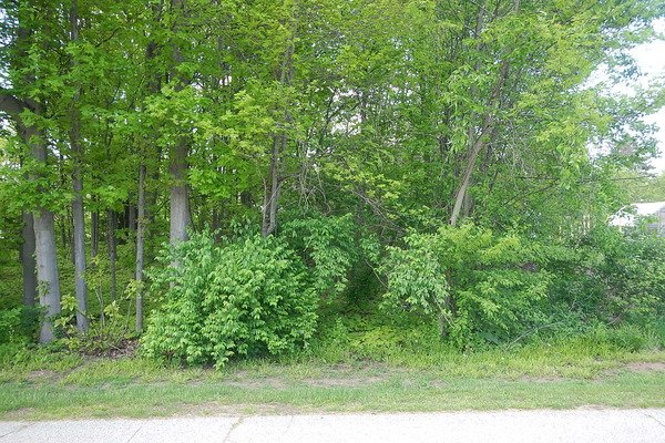Lot 3140