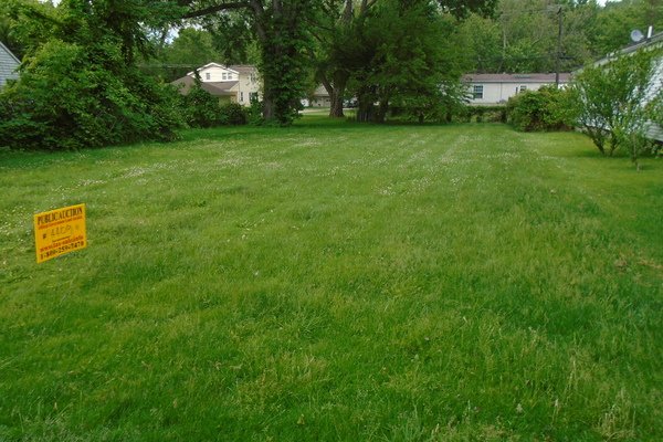 Lot 4409