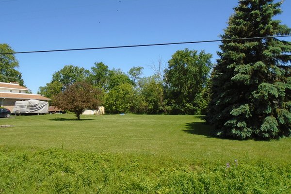 Lot 4441