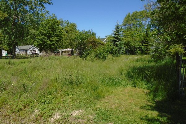 Lot 4443