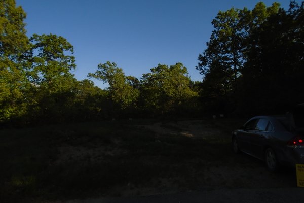 Lot 6629