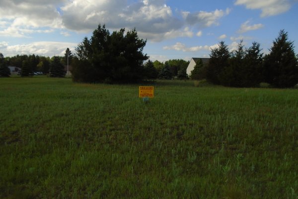 Lot 6649