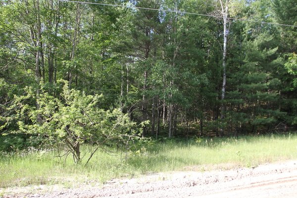 Lot 4503