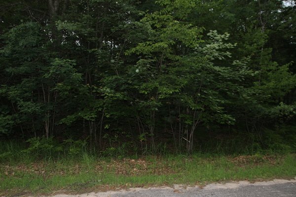 Lot 4515