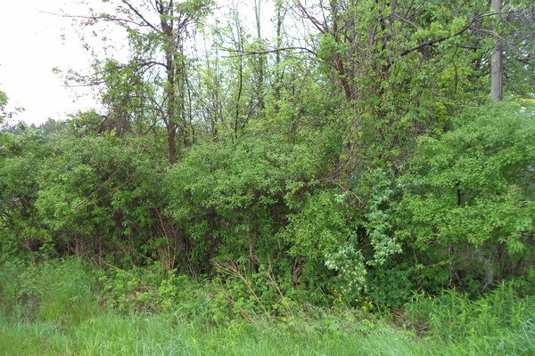 Lot 6157