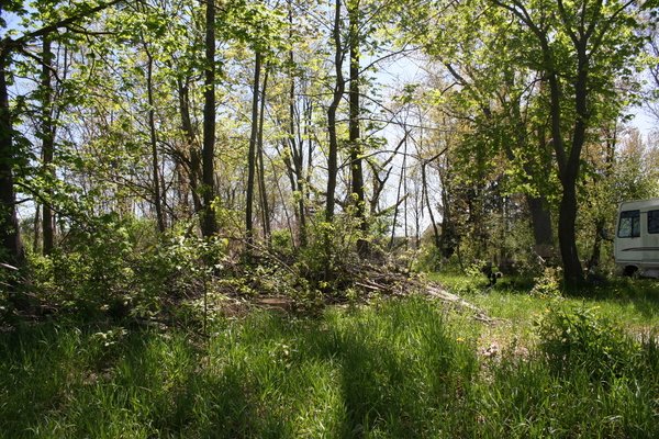 Lot 6309
